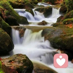 年轻真好的头像