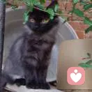 m(つω｀)～的头像