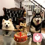 香蕉那个不娜娜的头像