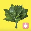 幸运小富婆的头像