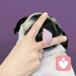 捕捉怪盜基德迷一只的頭像