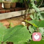 放下.放空的头像