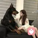 鶴晚的头像