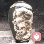 彝泊狠哥的头像