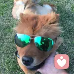 崇明de爸爸的头像