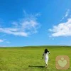 胖