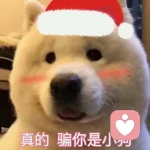 白起的小迷妹的头像