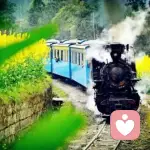 白云蓝天的头像