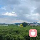 执笔梦一场的头像
