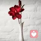 you喂的头像