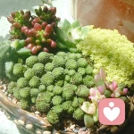 众佳星高端健身会所代芸芸的头像