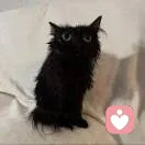 槐安的头像