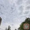 愿得一人心