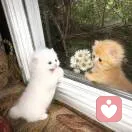 _F的头像