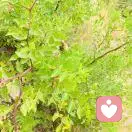 人生有多无耐的头像