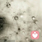 ich	♬	kann的头像