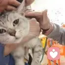 紅梅的頭像
