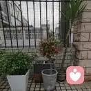 丹跆拳道黑二段的头像