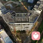 心灵小悟的头像