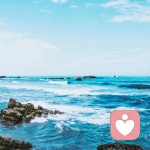 迷路的麋鹿的头像