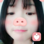 森梦小镇的头像