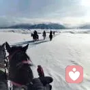 长风万里的头像