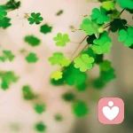 可怜的猴子的头像