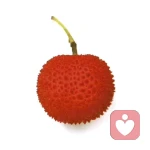 佐氏美美				绢子的头像