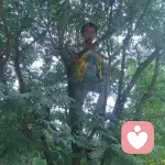 民生信用卡13363693925的头像