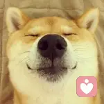 没有故事.的头像