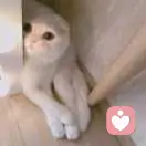 全幼儿园最可爱的头像