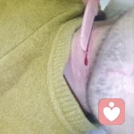 鲜血淋漓的头像