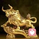 无话可说，赞成的头像