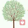 tree的头像
