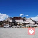 高山流水见世界的头像