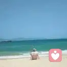 弱水一瓢的头像