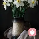 放飞梦想的头像