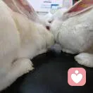 养殖观察员的头像