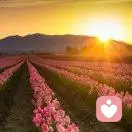 起心动意的头像