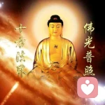 万物皆自然。的头像