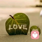 何必，ヾ(●´∇｀●)ﾉ哇～的头像