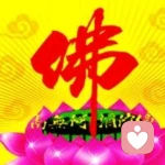 ～喵喵～的头像