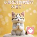 凌霄花的头像
