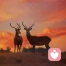 心若阡陌的头像