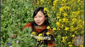 杜文素心理专家,杜文素心理咨询费用,杜文素心理咨询效果怎么样