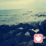 啦路过亚恩的头像