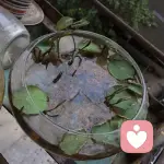 子琴咨询师的头像