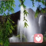 掌心^^回忆的头像