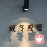 陈思宇的头像