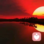 一路走来的头像